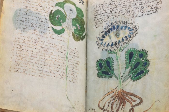 The Voynich manuscript - Amazing discoveries