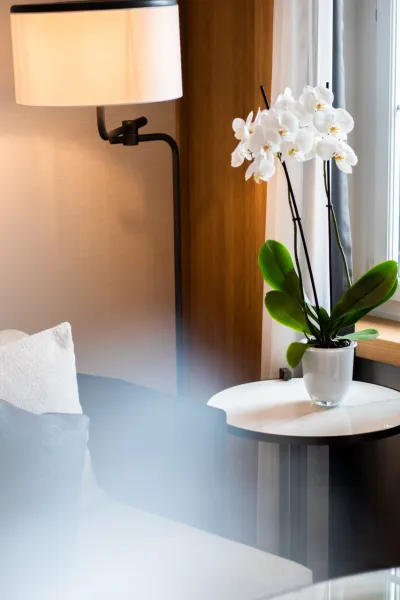 How to choose the right room